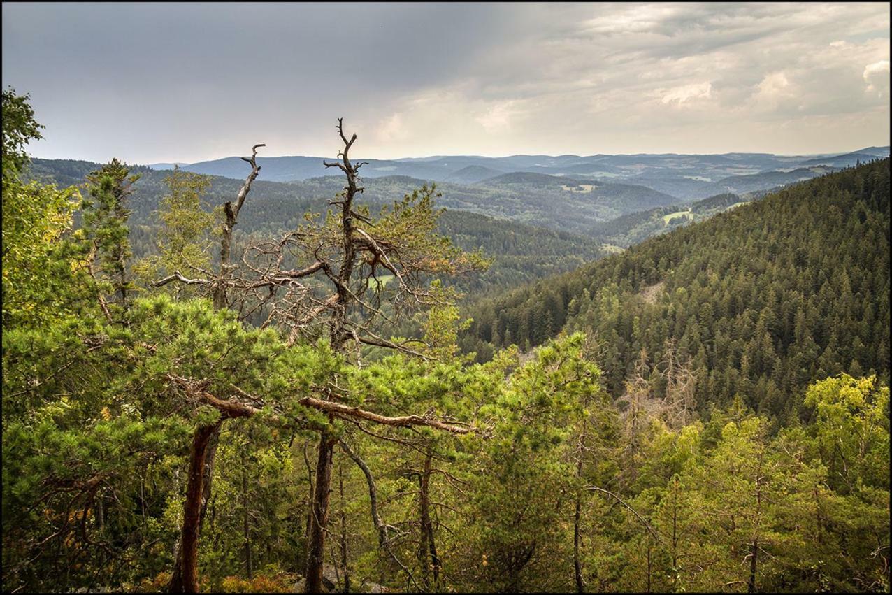 Na Losenici Nicov  Экстерьер фото