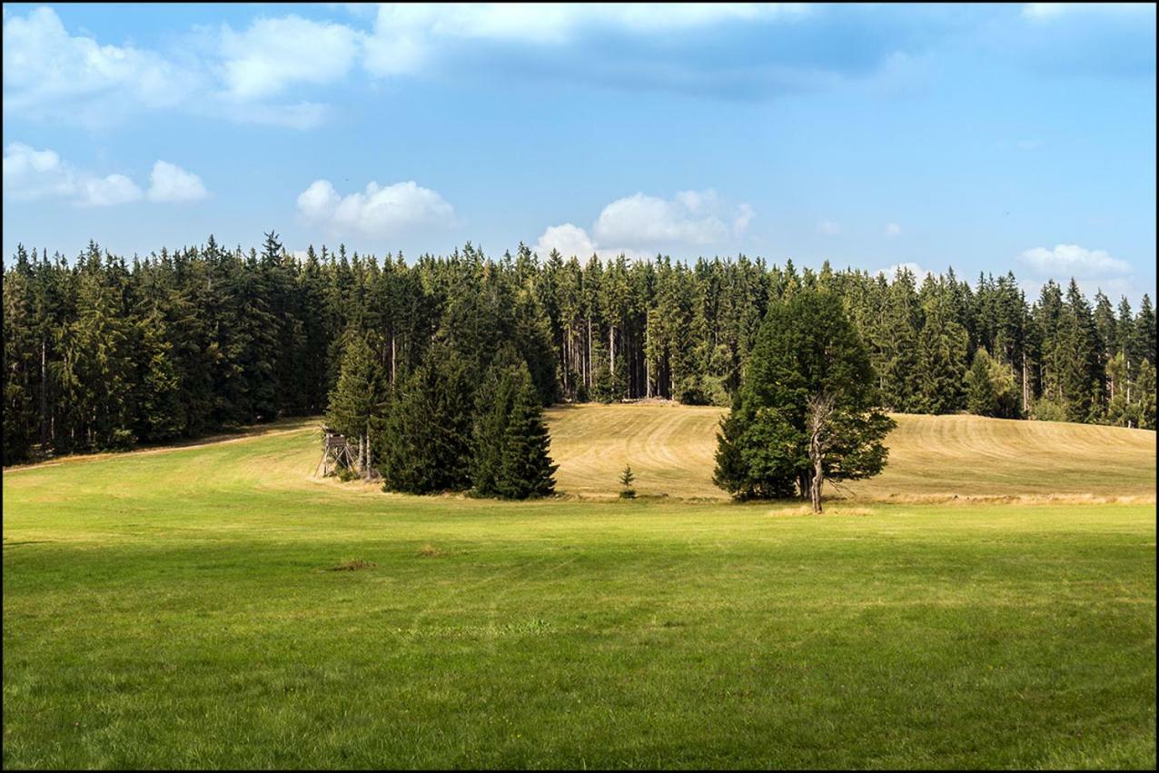 Na Losenici Nicov  Экстерьер фото
